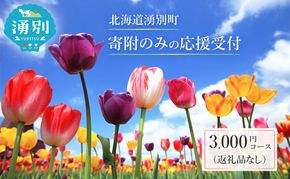 北海道湧別町 寄附のみの応援受付 3,000円コース（返礼品なし 寄附のみ 3000円）