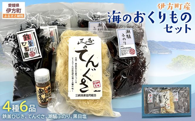 伊方町産 海のおくりものセット IKTO009