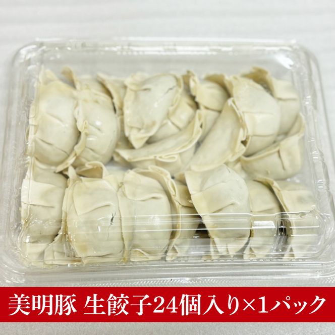 【数量限定】【最短7日発送】たっぷり大満足！牛肉＆豚肉バラエティセット｜肉 お肉 牛肉 豚肉 黒毛和牛 カルビ 赤身 焼肉 すき焼き たっぷり やみつき ステーキ スタミナ サーロイン サーロインステーキ ハンバーグ 餃子 数量限定 限定 人気 送料無料(HI-8)