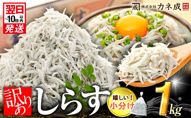 訳あり 釜揚げ しらす 1kg (200g×5袋) 小分け 減塩 無添加 無着色 冷凍 愛知県 南知多町 ご飯 ごはん 丼 料理 国産 カネ成 シラス 人気 おすすめ シラス しらす しらすごはん shirasu sirasu SIRASU 人気シラス