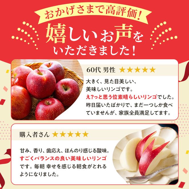 【2026年10月中旬～発送予定】 先行予約 りんご シナノスイート 秀品 約5kg 12～20玉入 長野県産 果物類 林檎  リンゴ フルーツ 