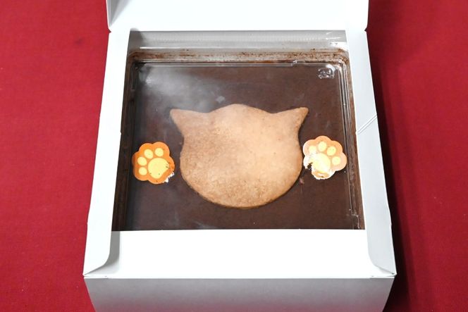 【2026年2月より順次発送】 AI188 ティラミス 1個 [ ケーキ 冷凍 チョコケーキ コーヒーケーキ スイーツ お菓子 パティスリーシャトン 長崎県 島原市 ]