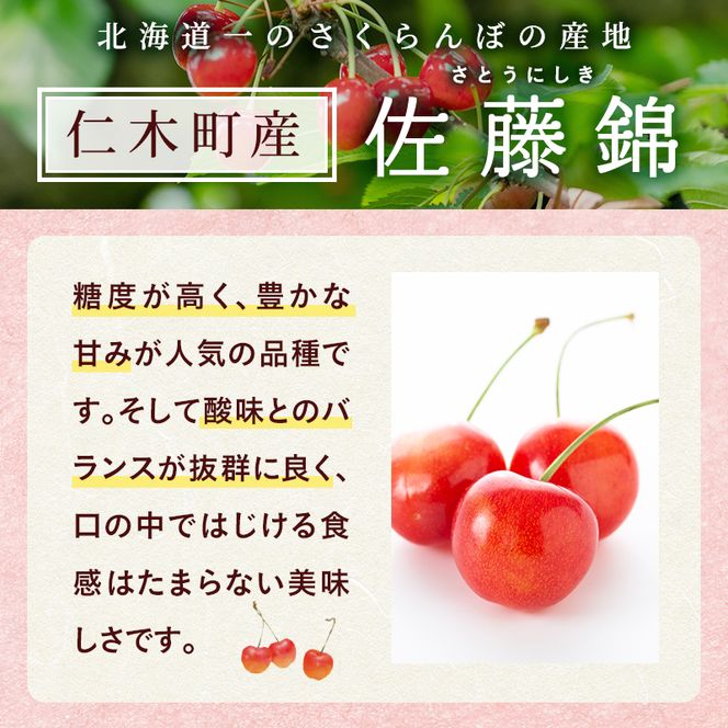 2027年発送 北海道 仁木町産 さくらんぼ 佐藤錦 180g×2P Lサイズ   サクランボ チェリー フルーツ 果物 果物類 仁木町 仁木 [林果樹園]