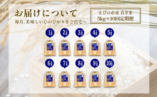【令和7年産】【10回定期便】米 ひのひかり 5kg 合計 50kg 九州 霧島 えびの産 ヒノヒカリ 発送直前に精米 農家 直送 お米 おこめ こめ コメ 白米 ふるさと納税 5キロ 九州産 宮崎県産 宮崎県 送料無料