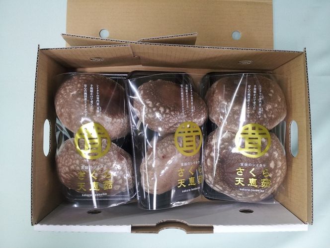 超肉厚大型しいたけ”さくらてんけいこ”３パックセット