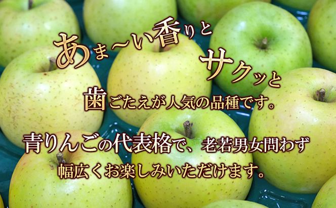りんご【1月・2月発送】糖度13度以上 おもてなし用 家庭用 王林 約5kg【青森りんご 果物 フルーツ デザート 食後 青森県産 産地直送 贈り物】