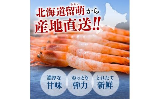 甘エビ 北海道 漁師採りたて 甘えび 400g×2箱 留萌産 あまえび 甘海老 海老 エビ 南蛮エビ つまみ おつまみ ご飯のお供 おかず 海鮮 海産物 海の幸 魚介 魚介類 刺身 お刺身 刺し身 さしみ 天ぷら 冷凍 留萌 R006-006