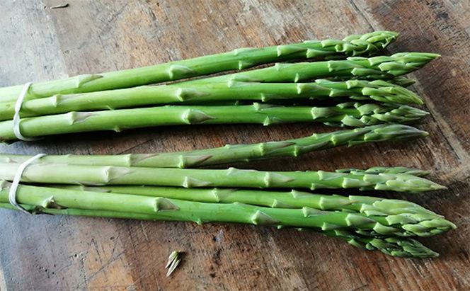 砂川さんの特選 アスパラ 1kg Mサイズ【さぬきのめざめ】 アスパラガス 冷蔵便 野菜 甘い 美味しい グリーンアスパラ 1万円以下 野菜セット 新鮮 旬 とれたて お取り寄せ 小分け BBQ 自宅用 家庭用 