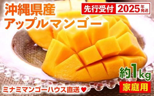 【先行受付】【2025年発送・家庭用】ミナミマンゴーハウスのアップルマンゴー約1kg（2～4玉）