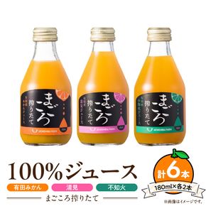 【まごころ搾りたて】100%ジュース《みかん・清見・不知火》180ml 各2本　計6本_ZE6438