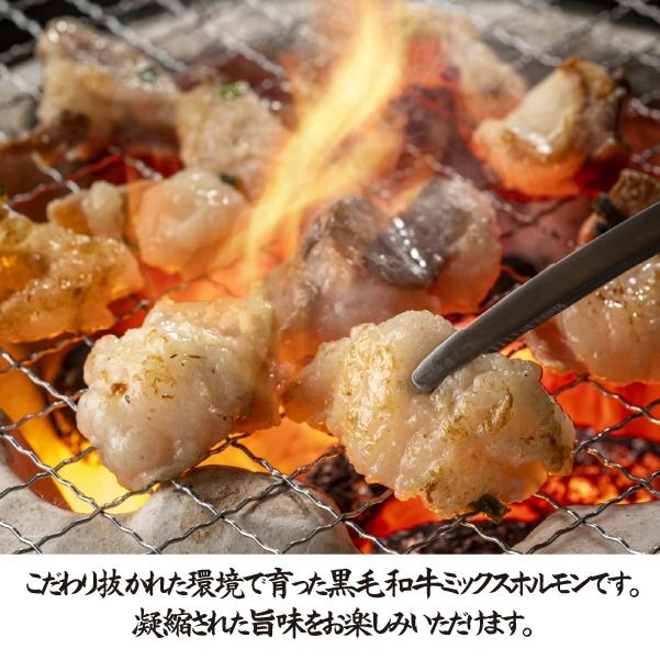 【自社農場和牛】黒毛和牛 特製塩だれミックスホルモン 900g（国産 黒毛和牛 宮崎牛 牛肉 塩だれ ホルモン ミックスホルモン 冷凍 宮崎県 小林市）