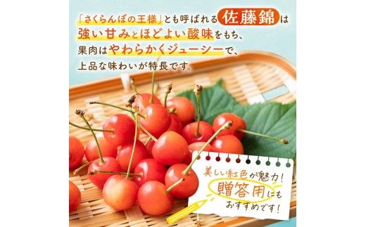 【先行予約：2026年6月下旬以降発送】さくらんぼ【佐藤錦】1Kg_Y127-0014