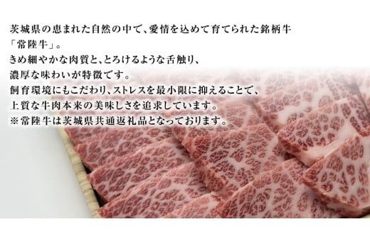 【 常陸牛 】 焼肉用 500g 茨城県共通返礼品 化粧箱入り A4 A5 ブランド牛 国産 牛肉 肉 お肉 黒毛和牛 和牛 ギフト 贈答 [AD009ci]