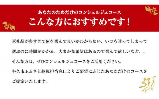 あなただけの プレミアム コンシェルジュ コース ( 50万円 ) 特別 オーダーメイド サービス [ZZ007us]