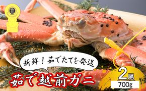 茹で越前ガニ【期間限定】食通もうなる本場の味をぜひ、ご堪能ください。約700g 2尾セット 越前がに 越前かに 越前カニ カニ ボイルガニ ずわい蟹 ずわいガニ ズワイガニ 蟹 
