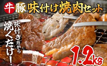 牛豚味付け焼肉セット 1.2kg 牛ハラミ 牛バラ 豚バラ 味付き 小分け 保存 醤油 にんにく タレ 子供 生姜 香味野菜 ネギ塩 キャンプ バーベキュー 福岡県 福岡 九州 グルメ お取り寄せ