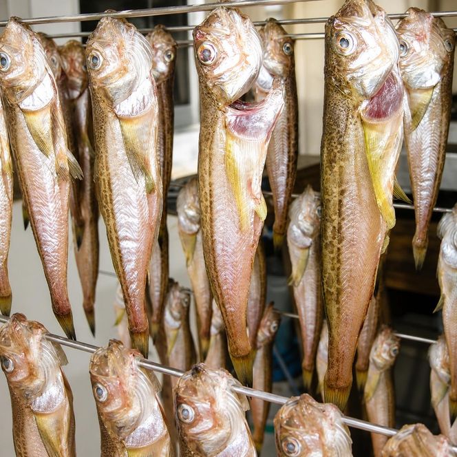 ハタハタ（特々大）干物 一夜干し 450g ×2箱【配送不可：離島】 魚貝類 海鮮 干物 おつまみ 肴 ハタハタ 酒  myz02 myz11 myz17