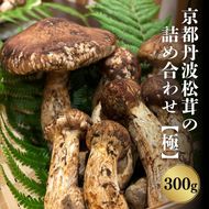 京都丹波松茸の詰め合わせ 300g【極上】まつたけ 松茸 詰め合わせ 数量限定 期間限定 きのこ 秋 天然 国産 国内産 京都府 南丹市