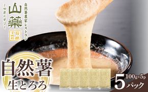 自然薯の味をお楽しみください。自然薯生とろろ100ｇ×５ｐセット【とろろ 極上とろろ 山芋 箱根 お家用 家庭用 国産 セット商品 自然薯 味付とろろ 神奈川県 小田原市 】 142069_DV004