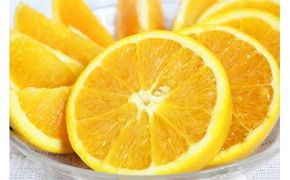 【先行予約】【訳あり 希少】 国産 バレンシア オレンジ 7kg【ご家庭用】 / みかん 柑橘 フルーツ 果物 ※2027年6月下旬〜7月上旬頃順次発送（お届け日指定不可） ※離島への配送不可【uot712】