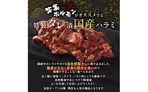 国産 特製たれ漬 牛ハラミ サガリ 250g～1250ｇ JX003