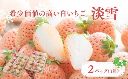 いちご 白いちご 淡雪 [先行予約] (2パック入×1箱) いちご 苺 イチゴ 先行受付 ストロベリー 人気 [C-01]