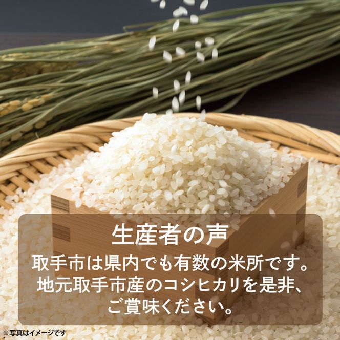 【令和8年度産】取手市産 コシヒカリ 15kg | 米 精米 白米 こしひかり JA 茨城県 取手市 （AR002）