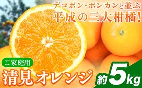 ＜先行予約＞【ご家庭用訳アリ】 紀州有田産清見オレンジ 約5kg 株式会社魚鶴商店《2027年3月下旬-4月下旬頃出荷》 和歌山県 日高町 オレンジ 柑橘 ご家庭用---wsh_uot242_3g4g_26_11000_5kg---