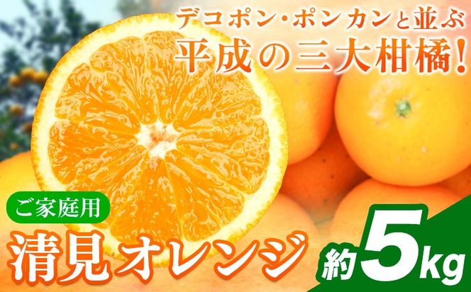 ＜先行予約＞【ご家庭用訳アリ】 紀州有田産清見オレンジ 約5kg 株式会社魚鶴商店《2027年3月下旬-4月下旬頃出荷》 和歌山県 日高町 オレンジ 柑橘 ご家庭用---wsh_uot242_3g4g_26_11000_5kg---