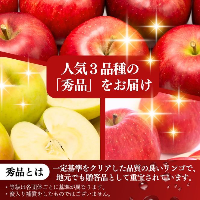 【2026年発送】定期便 3ヶ月 志賀高原季節のりんご定期便3回コース りんご シナノスイート ぐんま名月 サンふじ リンゴ フルーツ 果物 デザート おやつ 長野県 長野 定期 お楽しみ 3回