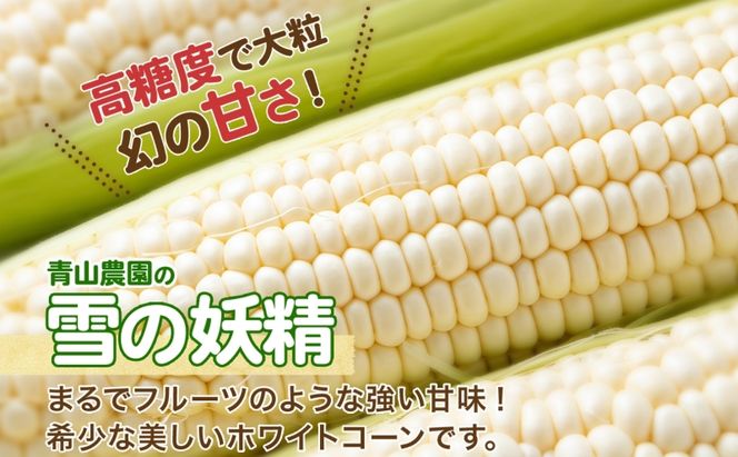北海道 月浦 めぐみ ゴールド 雪の妖精 5kg 先行受付 2026年8月中旬～9月中旬頃お届け とうもろこしトウモロコシ とうきび コーン 恵味 旬 野菜 朝採り 産地直送 青山農園