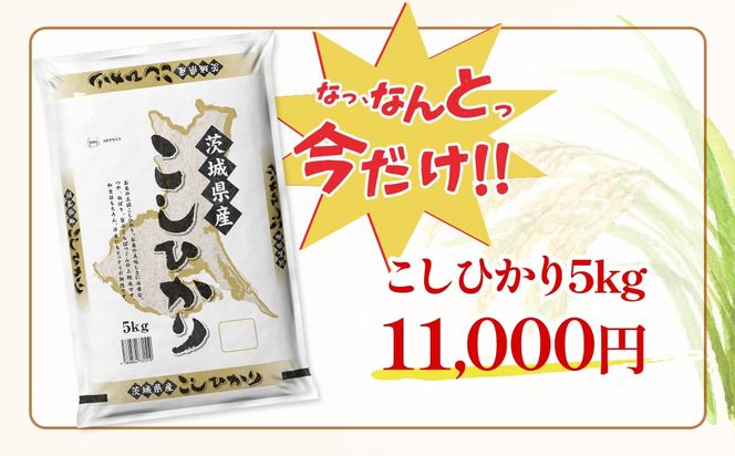 期間限定!! 【最短2日後～7日以内発送】【令和7年産/白米】 こしひかり 5kg 茨城県産 米 小分け 2025年産 K2670