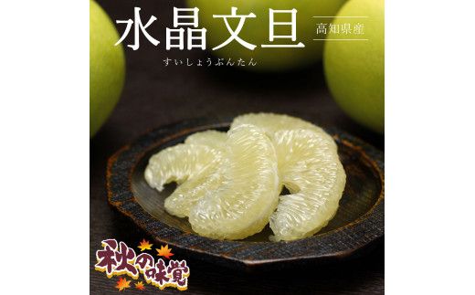 【先行予約】高知県産水晶文旦 特選ご贈答用 特大7個もしくは大玉8個〈2026年10月上旬～11月上旬頃発送〉【白木果樹園】 [BQAI018]