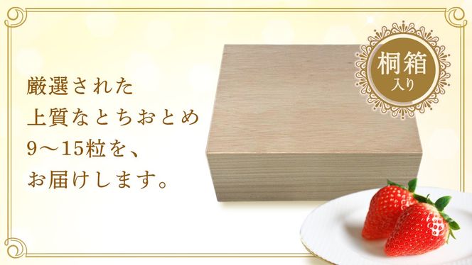 【桐箱入り】とちおとめ 9～15粒 【2027年1月から発送開始】（茨城県共通返礼品 [いちご]：城里町産） いちご イチゴ 苺 とちおとめ 甘い 国産 人気 桐箱入り 贈答 贈り物 ギフト ふるさと納税