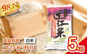 【新米】令和8年産　近江米　こしひかり【5kg×1袋】【T019W4】（滋賀県　近江八幡市）