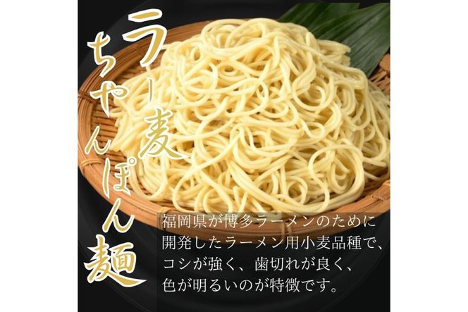 もつ鍋 牛もつ スープ ちゃんぽん麺 セット10人前 [Esprit 福岡県 筑紫野市 21761543] 国産 もつ モツ鍋 もつ鍋セット モツ鍋セット 冷凍 博多 ヤマタカ醤油 ラー麦 ちゃんぽん麺 醤油味 10人前 小分け こだわりスープ