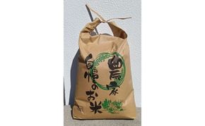 【新米】米 ふさこがね 5kg まなびファーム 令和8年産  白米 精米 ブランド米 産地直送