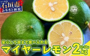 【先行予約】≪2026年8月以降順次発送≫ こだわりの青切りマイヤーレモン 約2kg (12～18個) 【 沖縄 石垣 数量限定 フルーツ レモン マイヤー メイヤー こだわり 】TF-027