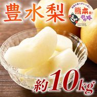 豊水梨 約10kg（12～36玉）【梨 なし 果物 フルーツ デザート 食後 熊本県産】※配送不可：離島