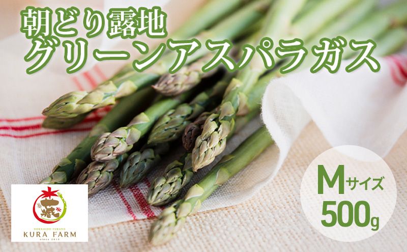 [2026年5月より発送]北海道 富良野市産 アスパラ 緑 (Mサイズ) 約500g 朝どり 露地 グリーン アスパラガス 詰め合わせ 野菜 新鮮 数量限定 先着順[藏ファーム]