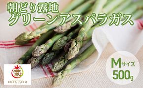 【2026年5月より発送】北海道 富良野市産 アスパラ 緑 (Mサイズ) 約500g 朝どり 露地 グリーン アスパラガス 詰め合わせ 野菜 新鮮 数量限定 先着順【藏ファーム】