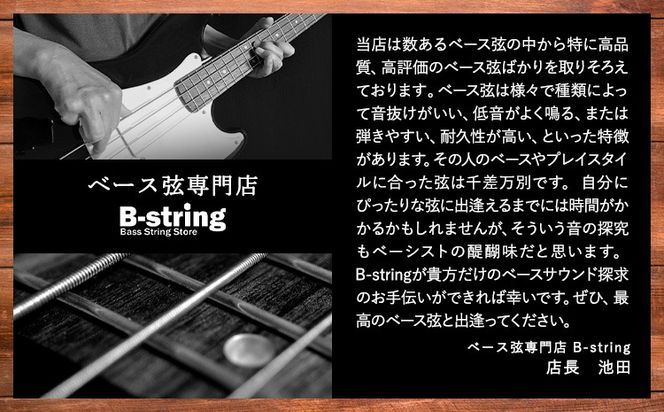 ベース弦専門店B-stringオリジナル高品質ハンドメイドベース弦 ニッケルタイプ / ステンレスタイプ《30日以内に出荷予定(土日祝除く)》岡山県 笠岡市 送料無料---B-17---