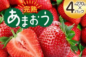 【期間限定発送】 いちご 完熟 あまおう 約270g 4p [mhshops 福岡県 筑紫野市 21761028] イチゴ 苺 フルーツ 果物 くだもの 2パック