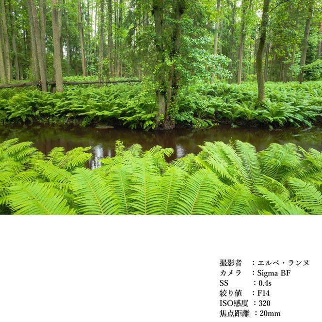 SIGMA 20-200mm F3.5-6.3 DG | Contemporary【ソニーＥマウント】