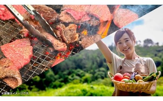 築120年の古民家民泊 風の家 ご宿泊 ( 元禄農園体験 ＆ BBQ 付) 3人 × 1泊 民泊 古民家 旅行 観光 宿泊 体験 農園 茨城 筑西市 トラベル 3名 [BY014ci]