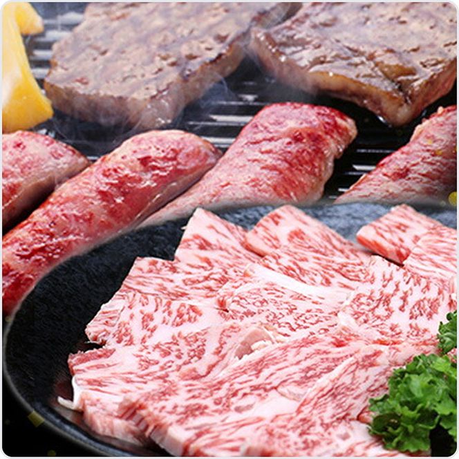 ふるさと納税　飛騨牛 ロース＆カルビ 焼肉 セット  計600g A5 和牛 牛肉 お肉 ロース カルビ 食べ比べ 焼肉用 バーベキュー BBQ 