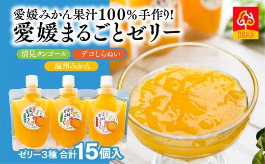 飲みやすいスタンドタイプ 愛媛まるごとゼリー 3種15個 ｜ みかん mikan ミカン 果物 フルーツ 愛媛県産 伊方町 株式会社ニュウズ ※離島への配送不可