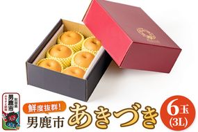 【令和8年度 早期受付】あきづき 梨 6玉 3L 梨 なし ナシ 秋田県 男鹿市 旬の果物 フルーツ|23_fre-030601
