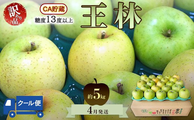 りんご【4月クール便発送】平均糖度13度以上 訳あり品 家庭用 CA貯蔵 王林 約5kg【青森りんご】フルーツ リンゴ 青森県 王林りんご 家庭用 ジューシー