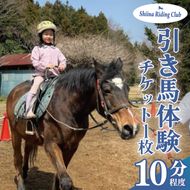 Shiina Riding Club　引き馬体験10分程度【茨城県 北茨城市 アクティビティ おでかけ レンタル 体験 チケット 馬】（DA002）